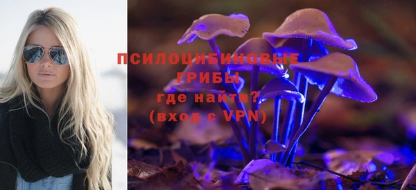 прущая мука Алексин