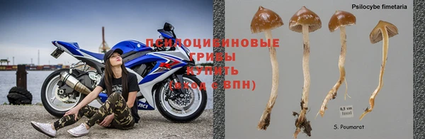 дмт Алексеевка