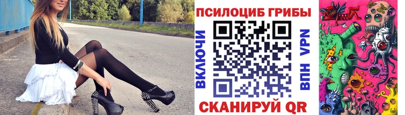 где найти наркотики  Зуевка  Псилоцибиновые грибы Cubensis 